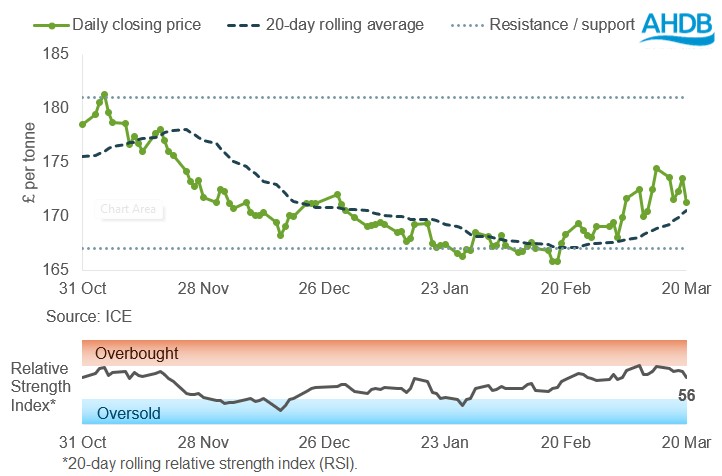 Line graph of UK feed wheat futures May-26 prices over the past six months.